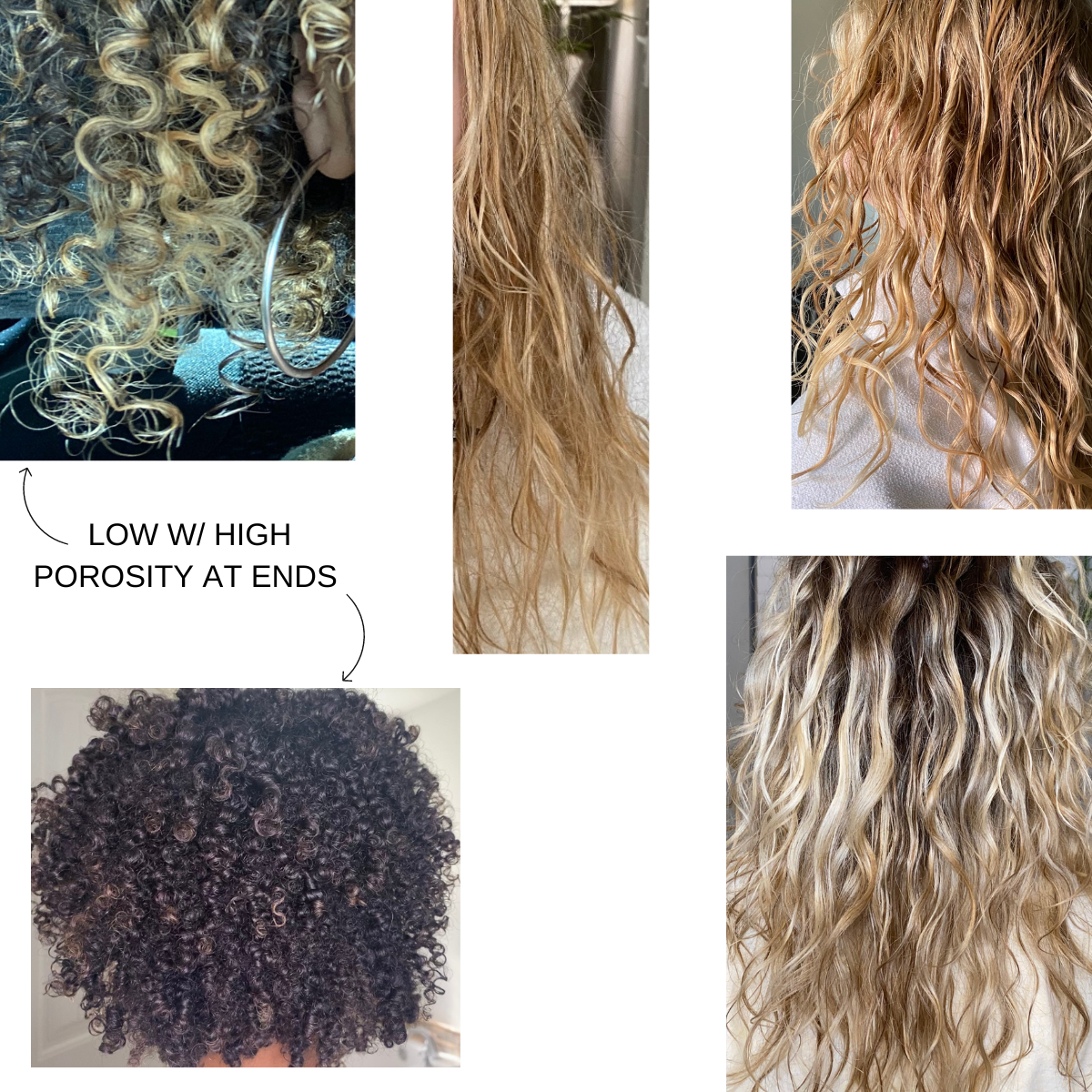 High Porosity Curly Hair Characteristics & Tips