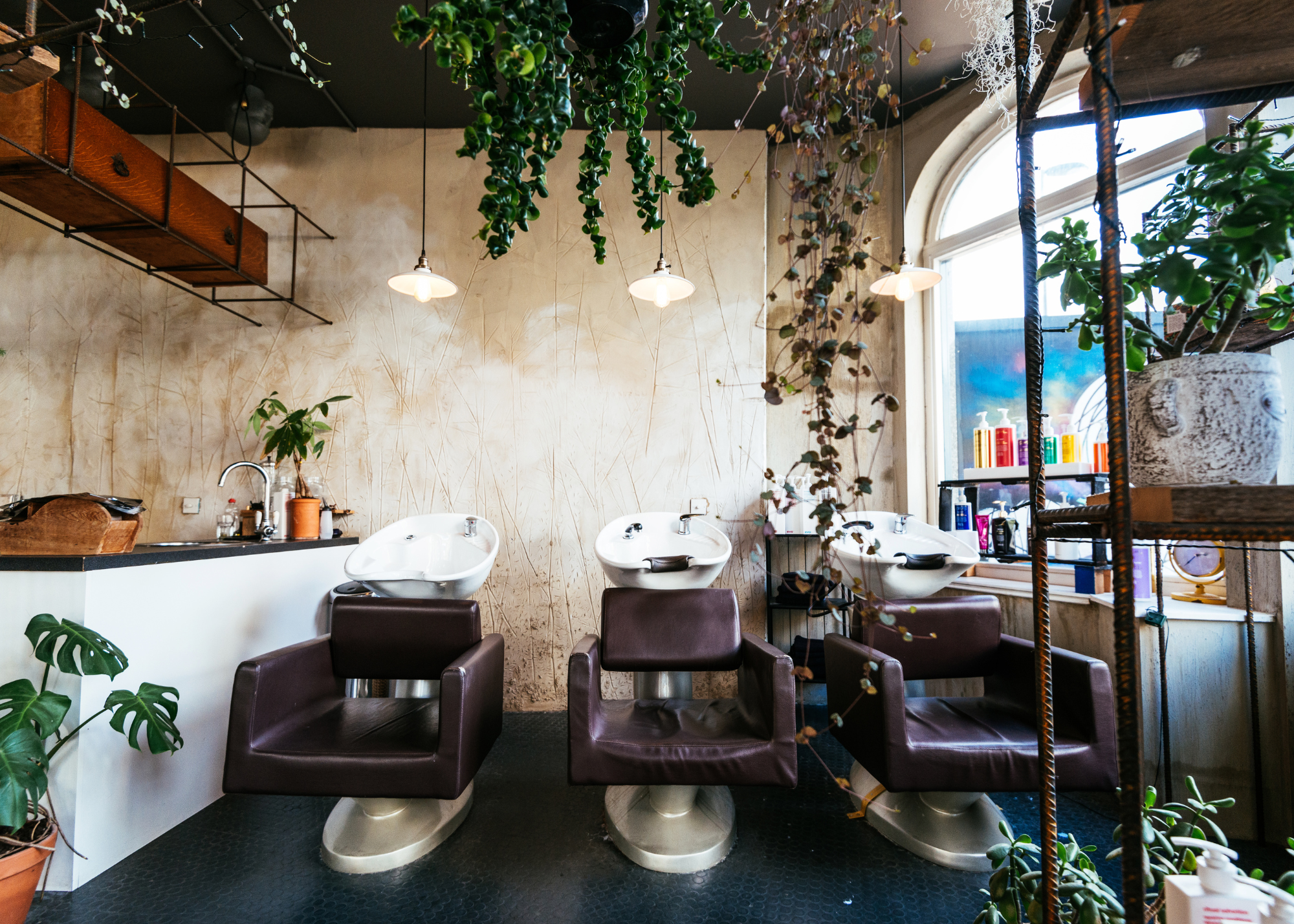 7 Tips to find a certified curly stylist & salon – Cays Curls